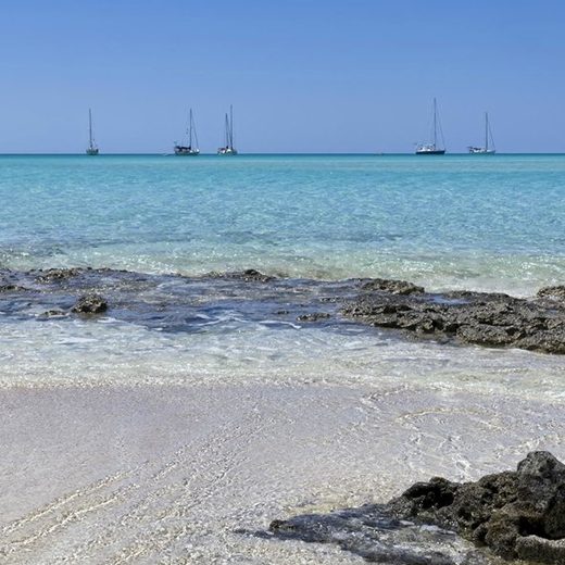 Orange Creek Inn gallery